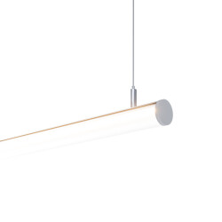 Perfil Completo WEB.jpg